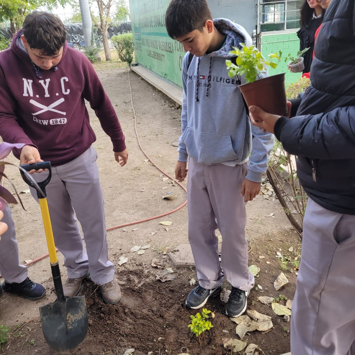 MailVerde's tweet photo. .@COBAES_07  #CobaesNoticias 🗞 | #Estudiantes de del Grupo 601 llevaron a cabo la actividad: "Planta un Árbol 🌳", actividad correspondiente al #ProyectoIntegrador del #MomentoI del #Semestre2023A de la Asignatura de #Ecología y #MedioAmbiente. https://t.co/BCycq9CYgh