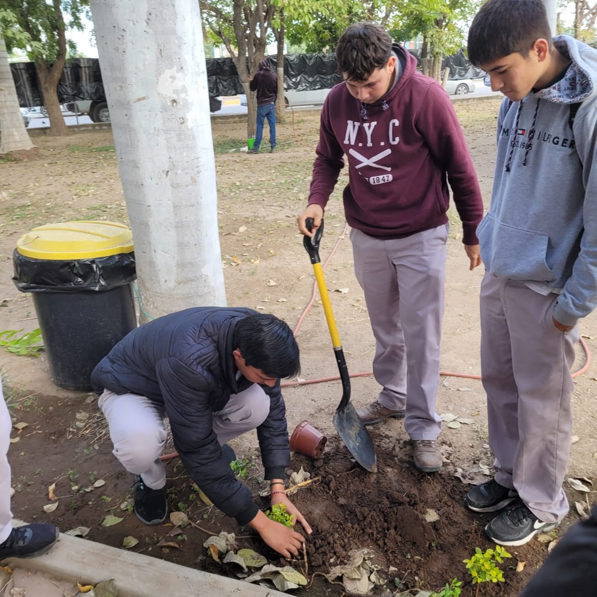 MailVerde's tweet photo. .@COBAES_07  #CobaesNoticias 🗞 | #Estudiantes de del Grupo 601 llevaron a cabo la actividad: "Planta un Árbol 🌳", actividad correspondiente al #ProyectoIntegrador del #MomentoI del #Semestre2023A de la Asignatura de #Ecología y #MedioAmbiente. https://t.co/BCycq9CYgh