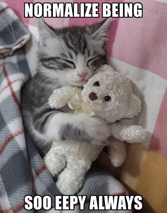 literallymecats's tweet photo. https://t.co/HKTYfJCLtz