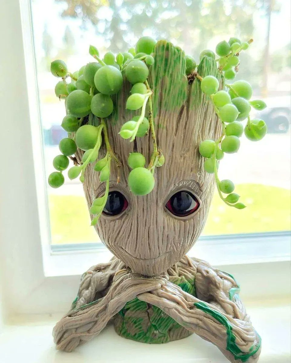 FatKidDeals's tweet photo. Baby Groot Planter for $5!

Save 50% with promo code 508YIGNX

https://t.co/hvB9jt82sC https://t.co/26ifrUwHts
