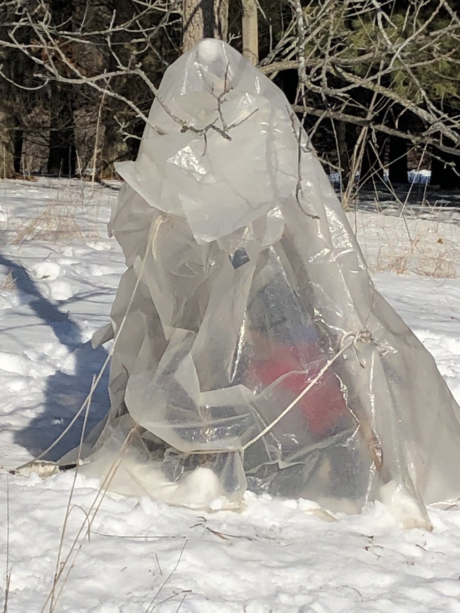 MsAustinSteckle's tweet photo. We had a fantastic field trip today! The kids had to build a structure, take the temperature inside it, have one person stay in the structure for 10 min and then see if the temperature rose! Some great thinking happened! https://t.co/q6jNN7sb7r