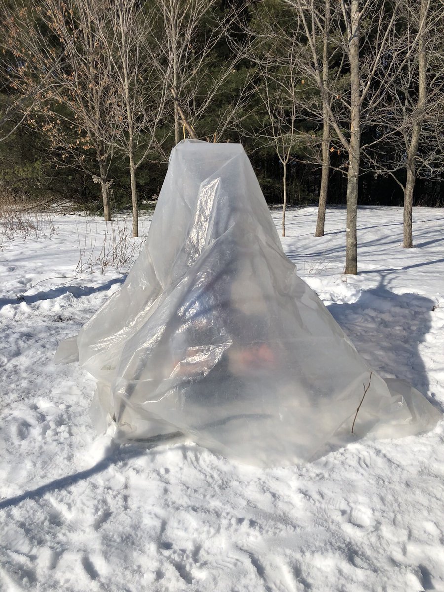 MsAustinSteckle's tweet photo. We had a fantastic field trip today! The kids had to build a structure, take the temperature inside it, have one person stay in the structure for 10 min and then see if the temperature rose! Some great thinking happened! https://t.co/q6jNN7sb7r