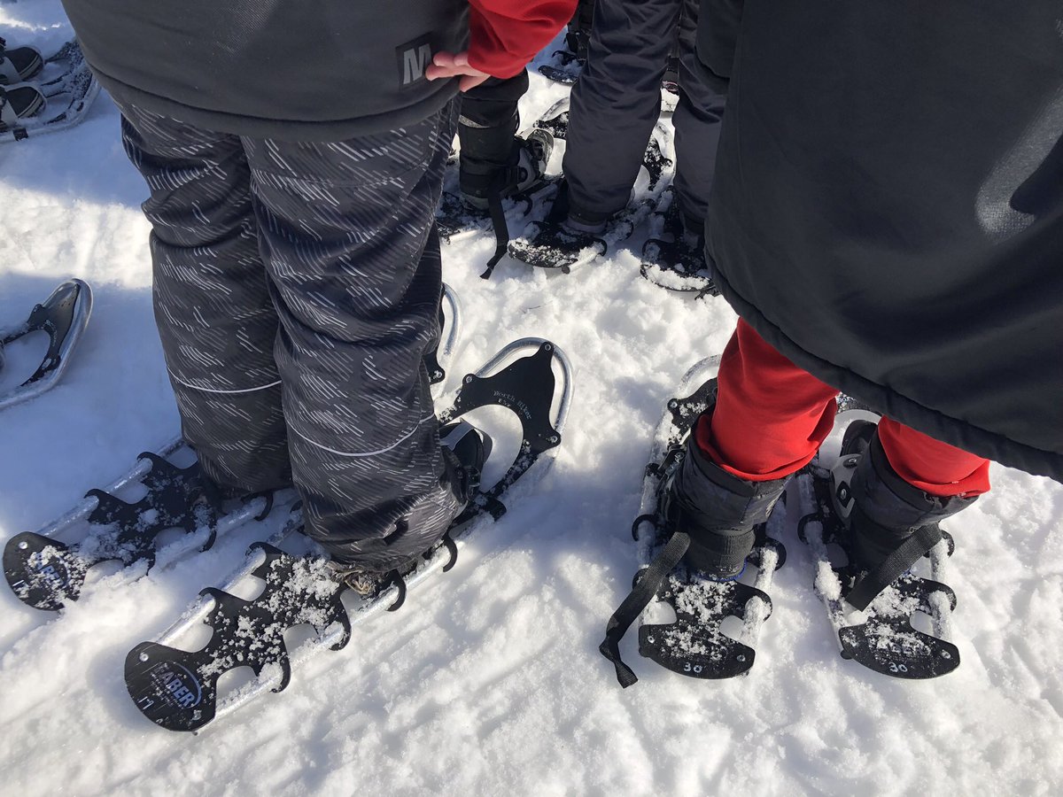 MsAustinSteckle's tweet photo. After building our structures, we had lunch and then went snowshoeing! So lucky we had beautiful weather! https://t.co/kmFZ4hsPLi