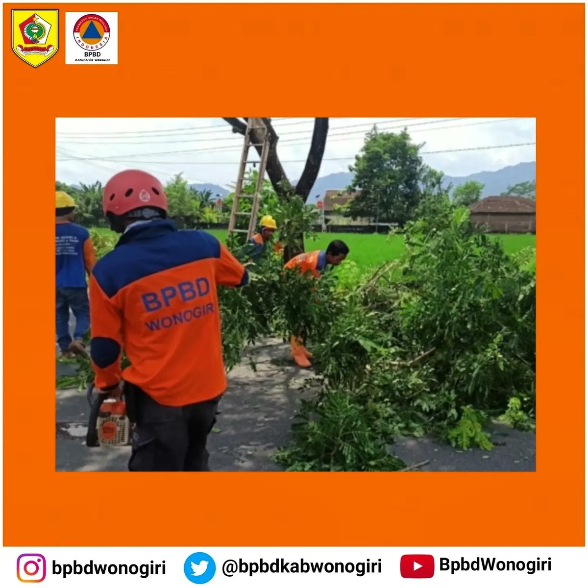 Pemotongan Dahan dan Ranting Pohon yang membahayakan jalur kabel listrik bersama PLN, DPU, dan DLH Kab. Wonogiri

*Waktu Kegiatan*
Selasa, 7 Februari 2023
Pukul 10.00 WIB - selesai
*Lokasi Kegiatan*
 Sepanjang jalur dari Terminal Adi Putra Krisak Wonogiri sampai Lap Pule Selogiri