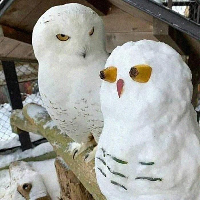 Agatha Chocolats tweet media