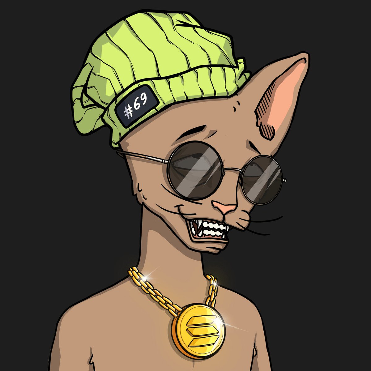 Hi guys i heard <a href="/CetsOnCreck/">CetsOnCreck is now CETS</a> welcome is as hard as The Rock let's see very happy to join cets community, #cetsoncreck #SolanaNFTs happy to join with <a href="/peblo69/">peb</a>