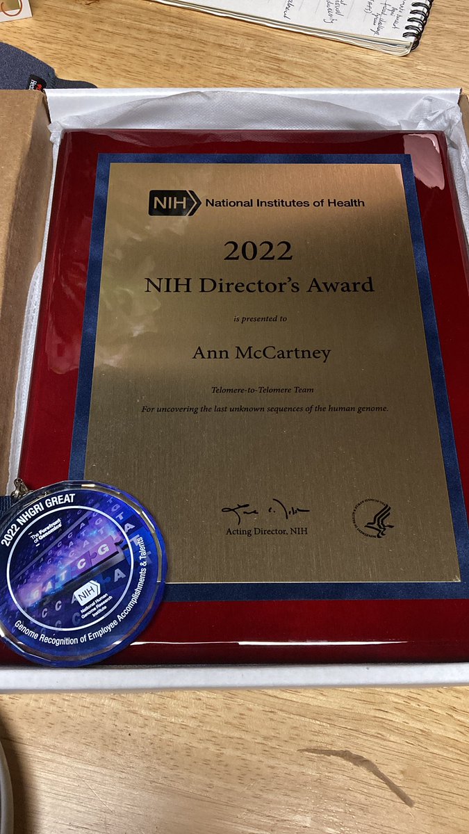 Ann Mc Cartney tweet media