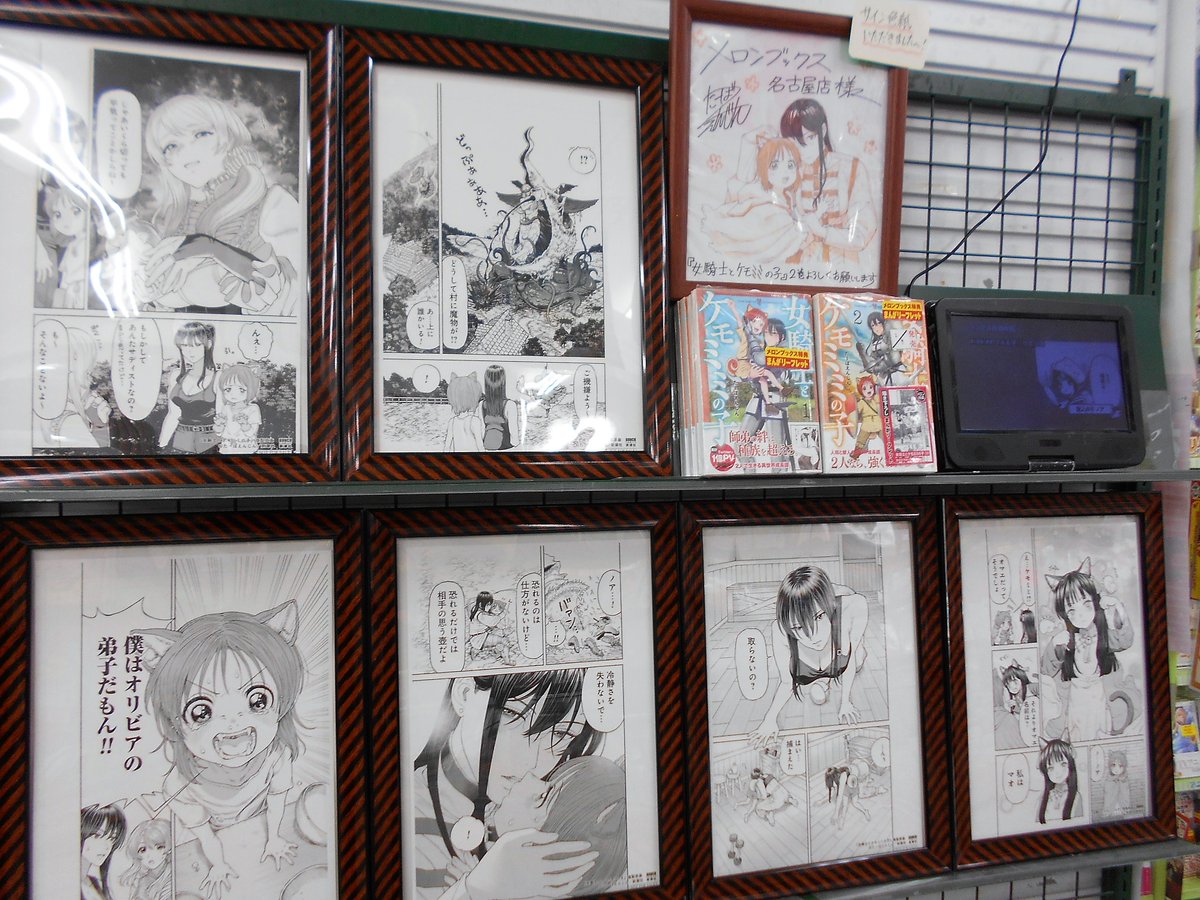 ミミタールのリーフレット