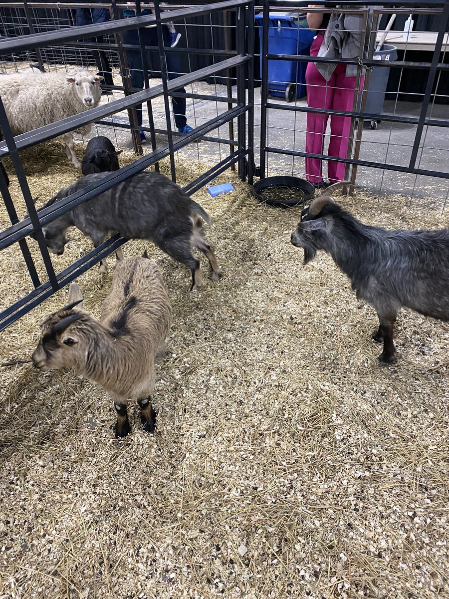 I met some friends at <a href="/FROST_ReginaSk/">FROST Regina</a> tonight. - <a href="/markjohnstonfm/">Mark Johnston</a>