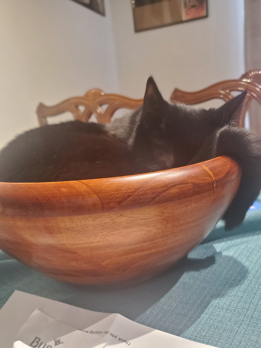 TigBittyKitty's tweet photo. I am fruit now Momma, leave me to my bowl 🥣 🐈‍⬛️ 🍎🍑🍇 #CatsofTwittter #cat #cats #blackcats #CatsOnTwitter #cutecat #catlife #catlifestyle #catmom #housepanther #tigbittykitty #igcats #cutebutpsycho https://t.co/v2W0aeBv1w