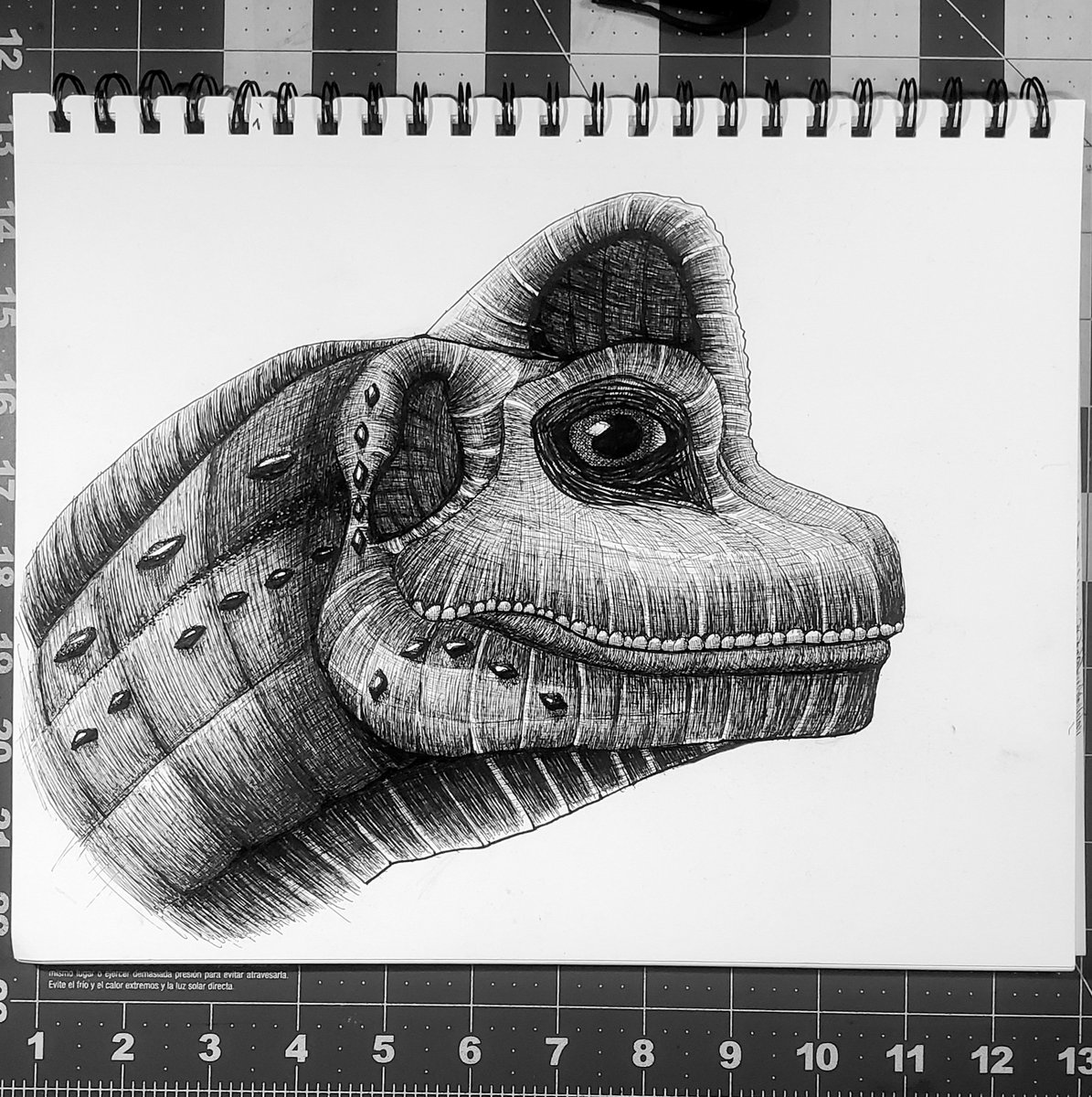 pisceanpaul's tweet photo. Dinosaur sketch 

#art #sketchbook #picoftheday #TrendingNow #Trending #trend https://t.co/5H9LiI1JVt