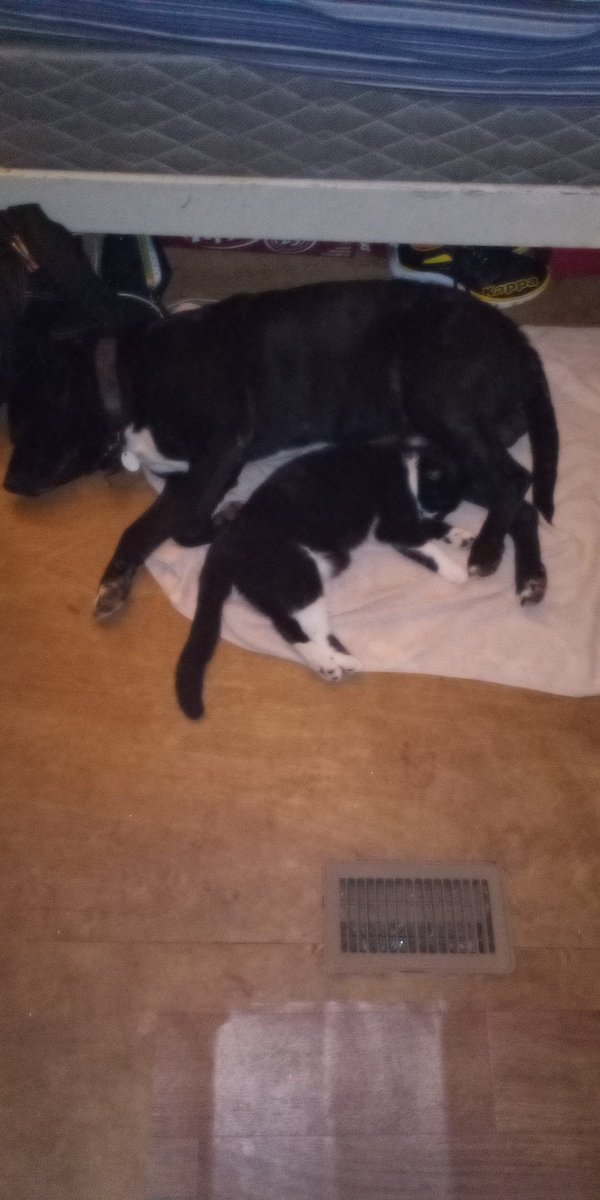 killersans173's tweet image. They best of friends