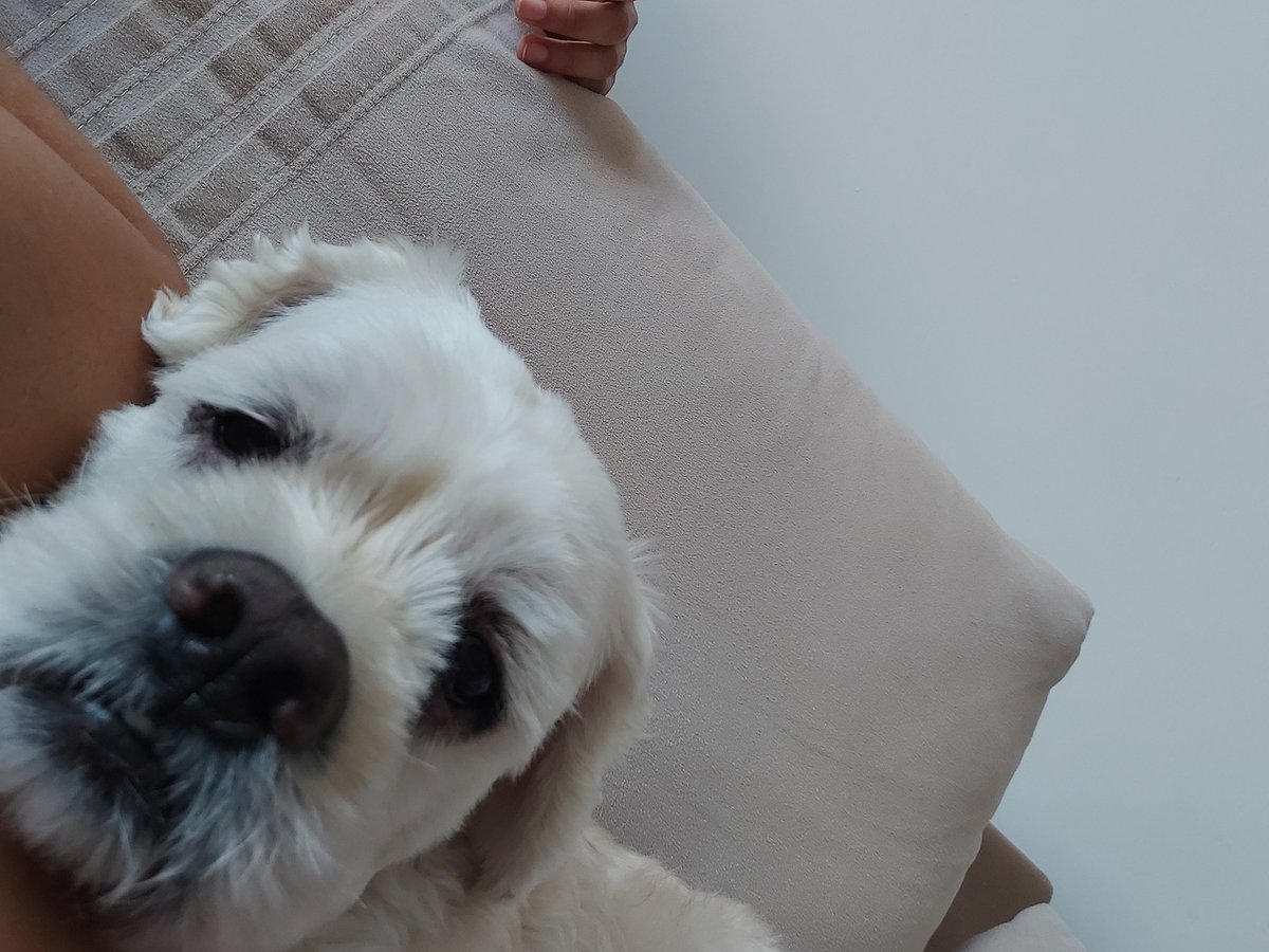 aqueles senhores de 60 anos postando selfie no facebook