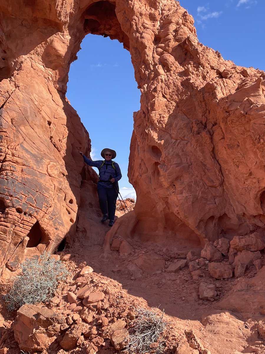 bertadee812's tweet image. This is what I did on Sunday.