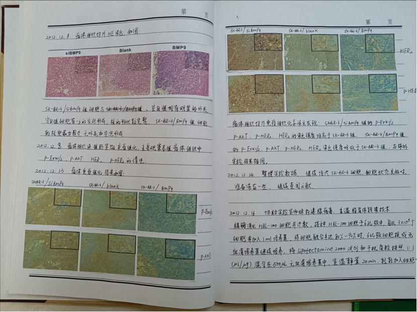 Elisabeth Bik tweet media