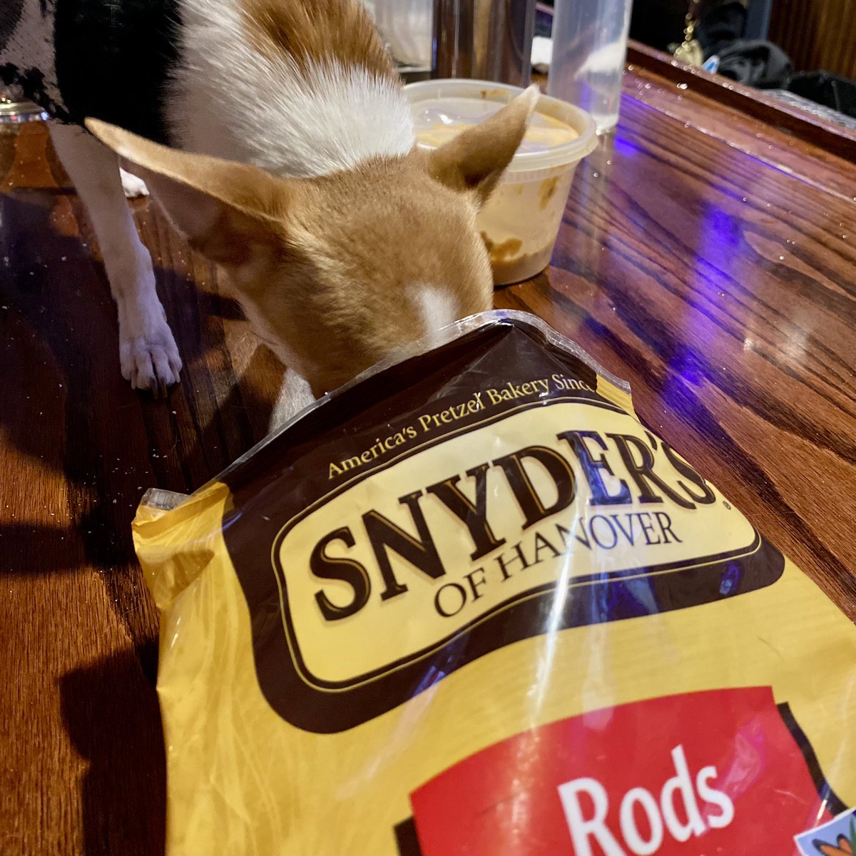 Lorrell Bellotti tweet media