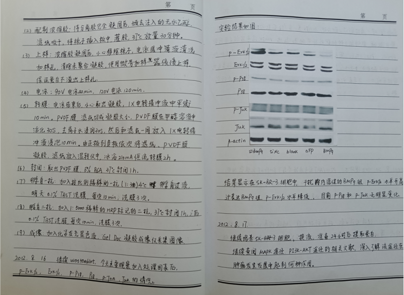 Elisabeth Bik tweet media