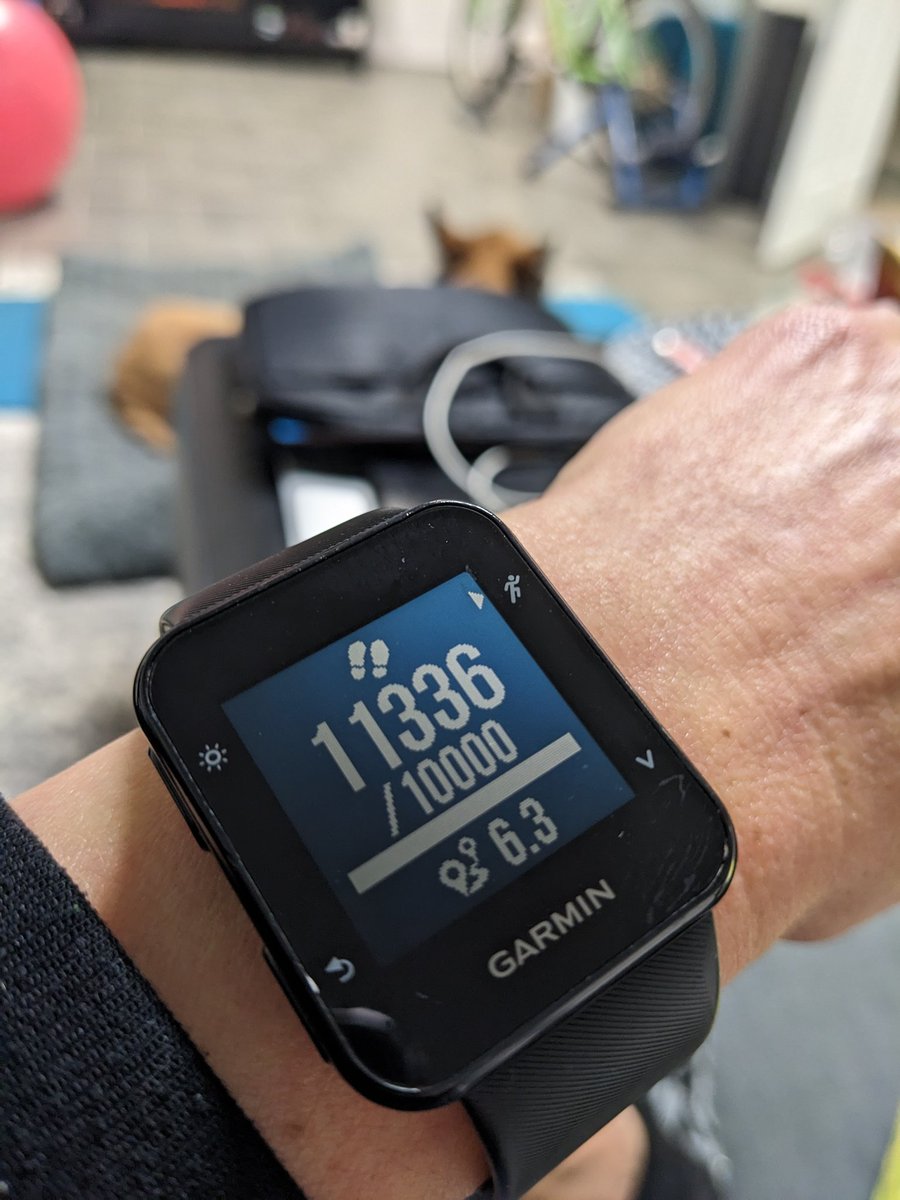 ThrivewithMilka's tweet photo. Tonight's step count.
Move your body helps:
- keep inflammation down
- keeps muscles strong
- helps stimulate more bone
- works your heart, another muscle
- improves blood pressure
- promotes weight loss
- improves sleep
And More!
#IBD #10000steps #exercise #walk #colitiswarrior https://t.co/SsHOgdfIwg