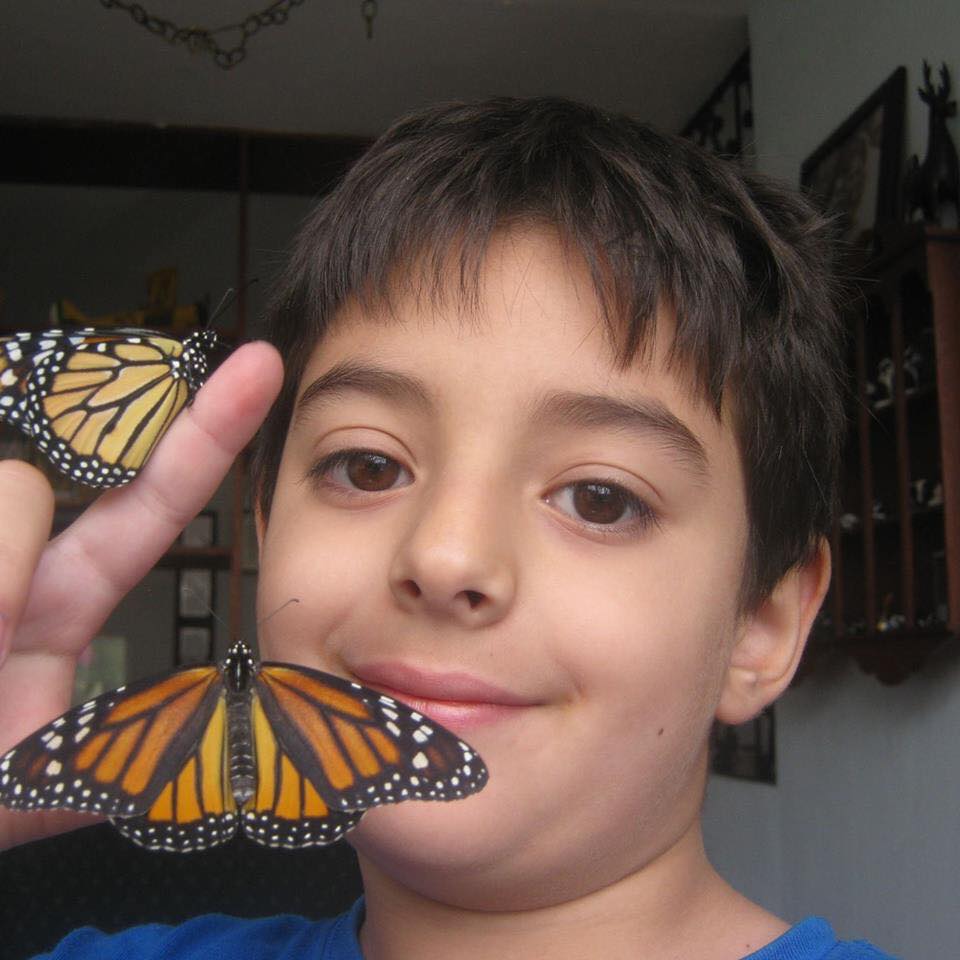 First harvest, Monarchs at home!!!