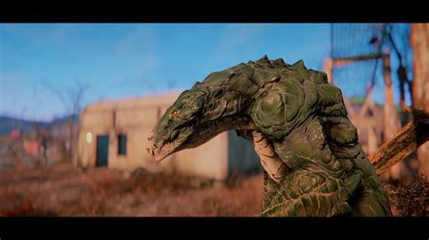 DawnofGatorclaw's tweet photo. Dr. Daren McDermot made them too well; no one could stop them, they’re here to stay. 𝑮𝒂𝒕𝒐𝒓𝒄𝒍𝒂𝒘𝒔.

•The pinnacle and perfection
•9years of experience
•Friendly mun
•in depth rps
•Multimuse
•18+ only, minors DNI
•McDermot’s last wish was in vain https://t.co/WMcp9PJ54t