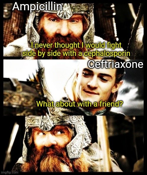 Enterococcus treatment meme #Stewardmeme