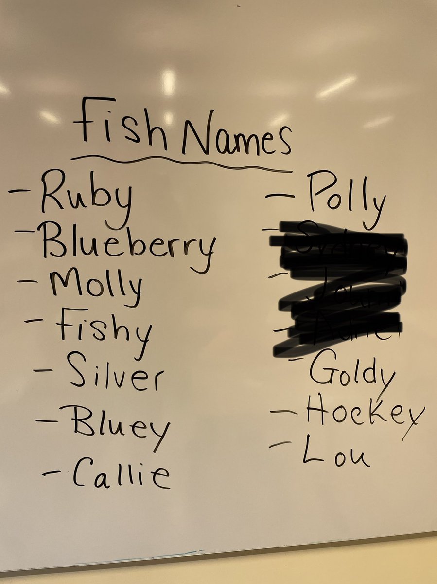 aver131's tweet photo. After a serious discussion and a series of votes, we have named our new friend. Welcome to grade one, Lou! 🐠❤️ #classpet #edutwitter https://t.co/HV6ltTl8lb