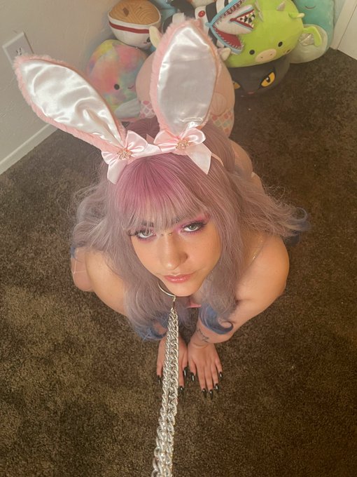 I&rsquo;ll be your little slave bunny 🥺💖 Don&rsquo;t forget my spicy sites are only $3.50 right now🤭 https://t.co/w9VNpakGXN<a href="/tag/bdsm"class="tags"><span>#bdsm</span></a><a href="/tag/bunnygirl"class="tags"><span>#bunnygirl</span></a><a href="/tag/bunnygirls"class="tags"><span>#bunnygirls</span></a>
