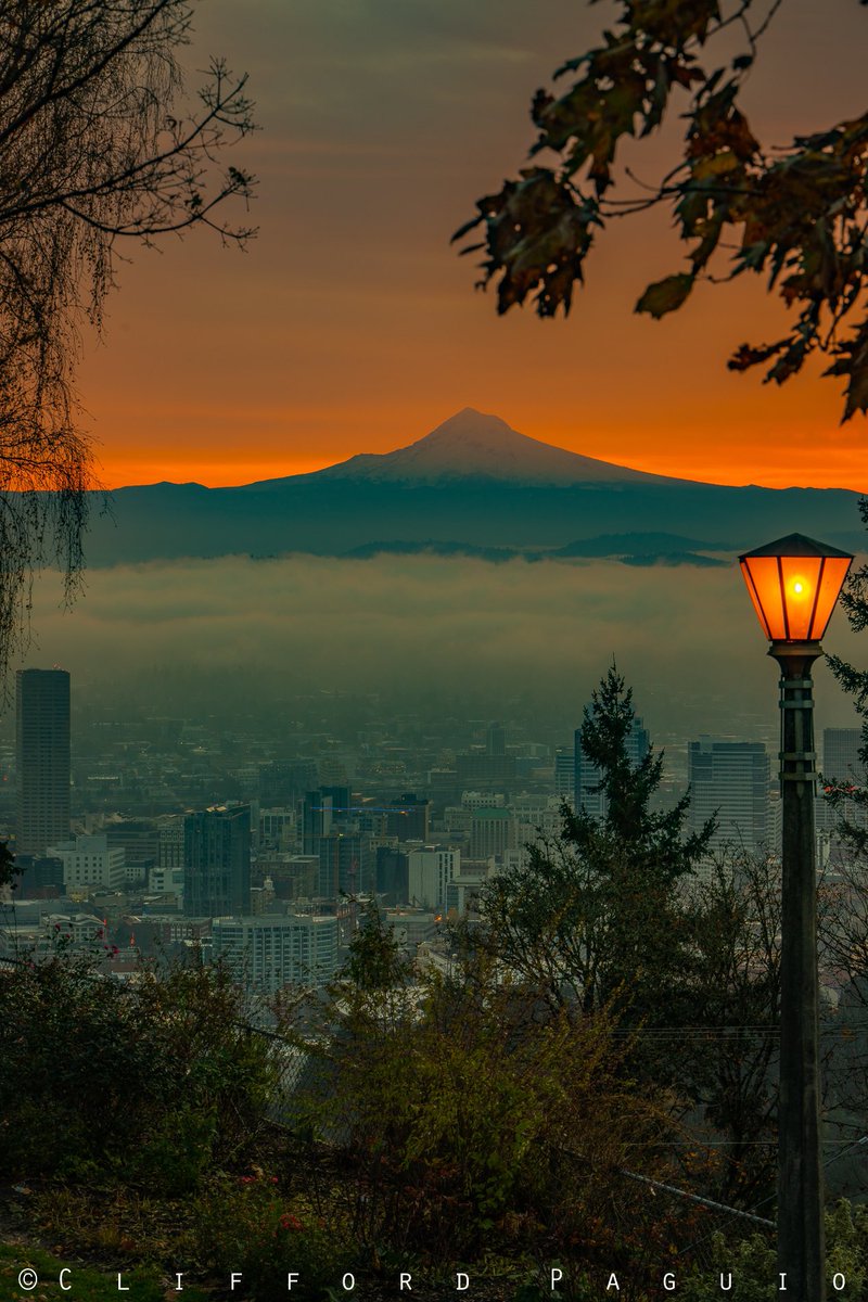 Clifford Paguio tweet media