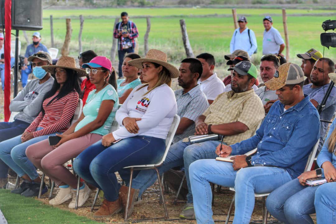 Hoy entregamos financiamiento de arroz para el ciclo norte-verano a campesinos y productores del municipio Francisco de Miranda, la tierra de los arrozales. Con la unión de todos los trabajadores, seguimos impulsando el aparato productivo del país. ¡Producir es vencer! 🌾