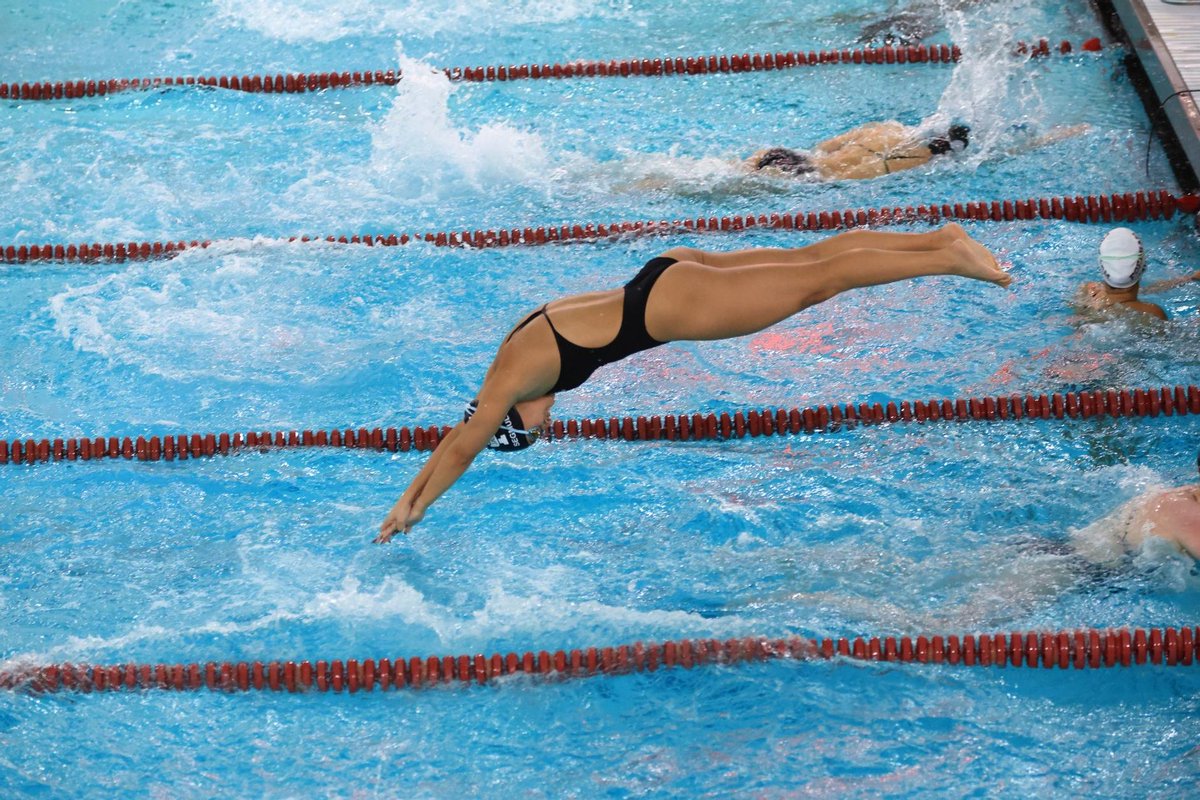 Manhattan Swimming tweet media