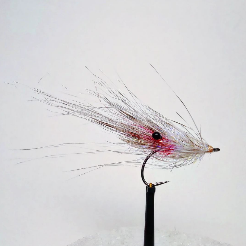 Saltwateronfly's tweet photo. Sweet Shrimp 
@balticflies
Spey Shrimp

#balticflies
#pattegrisen #flytyingjunkie
#flytying #fliegenfischen
#flyfishing #fluefiske #fluebinding #fluefiskeri #baitfishpattern #seatroutflies #seatroutflyfishing #flydressing #seatroutfishing #seatrout #baitfishfly #havsöring https://t.co/92HX3LU1LV