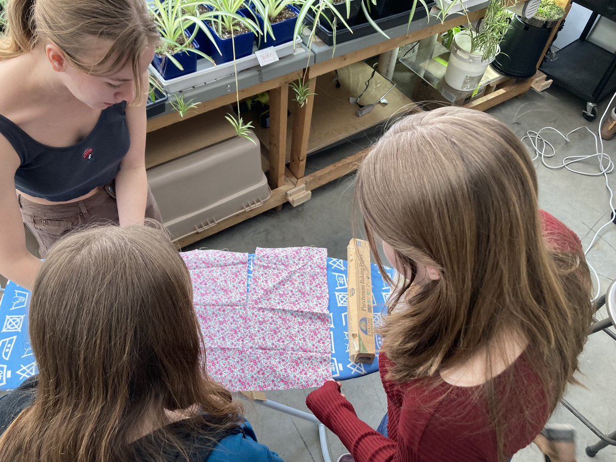 Matière verte🌱E.S.P. Gisèle-Lalonde tweet media