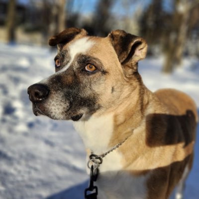 alejandra_cn's tweet photo. #NewProfilePic https://t.co/2QN146VpSo