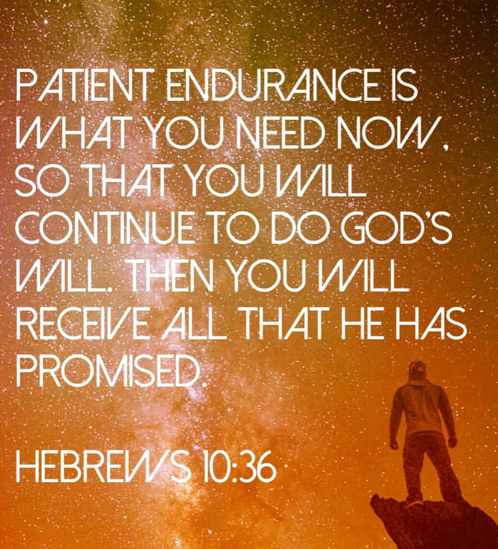 RDeliye's tweet photo. Day 806 #TigrayGenocide 
❤️💛

“Patient endurance is what you need now, so that you will continue to do God’s will. Then you will receive all that he has promised.” Heb 10:36

Father we pray for perseverance to find peace, justice&amp;accountability for#TigrayGenocide 
🙏🏼
#FreeTigray https://t.co/ddzx6d0b1F