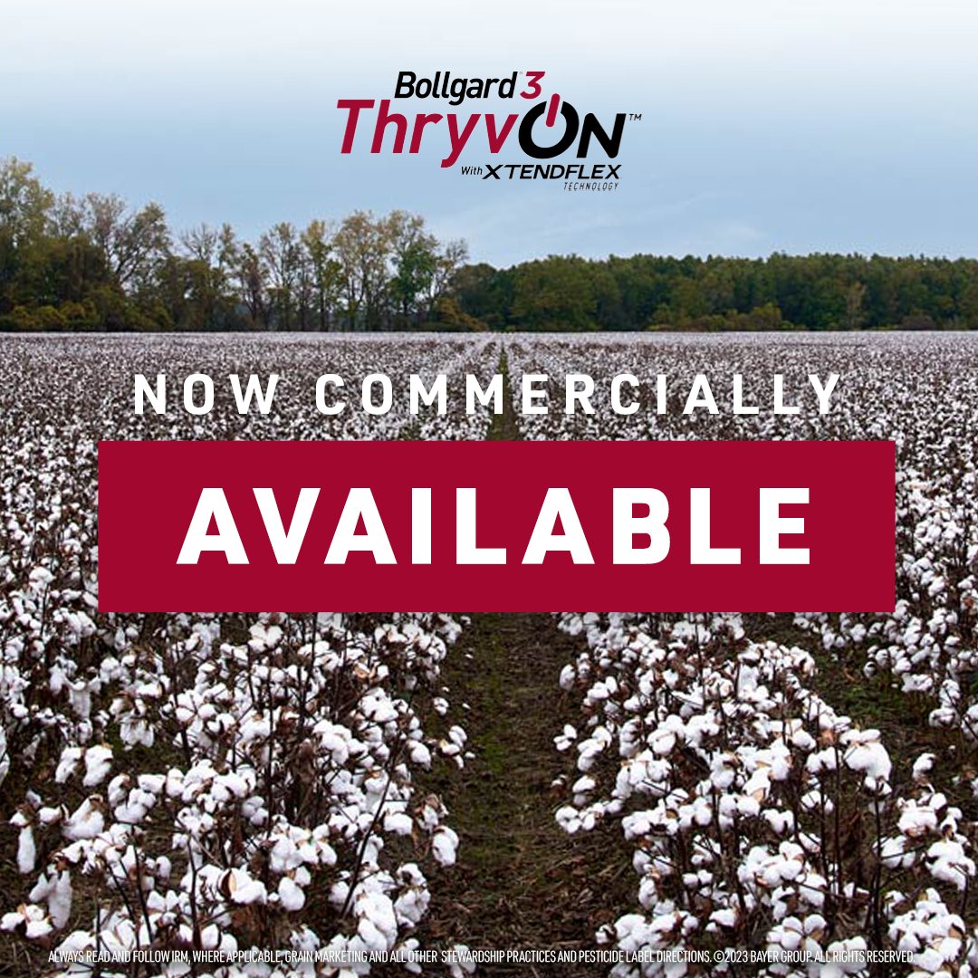 BayerTraits's tweet photo. After years of research, stewarded trials, and valuable input from you, #ThryvOn™ Technology is officially commercialized! 🎉🎉🎉

Learn more about the industry’s first cotton biotech trait to protect against key tarnished plant bug and thrips species: https://t.co/KEAIlZ3cmS https://t.co/8N8b6dRRfH