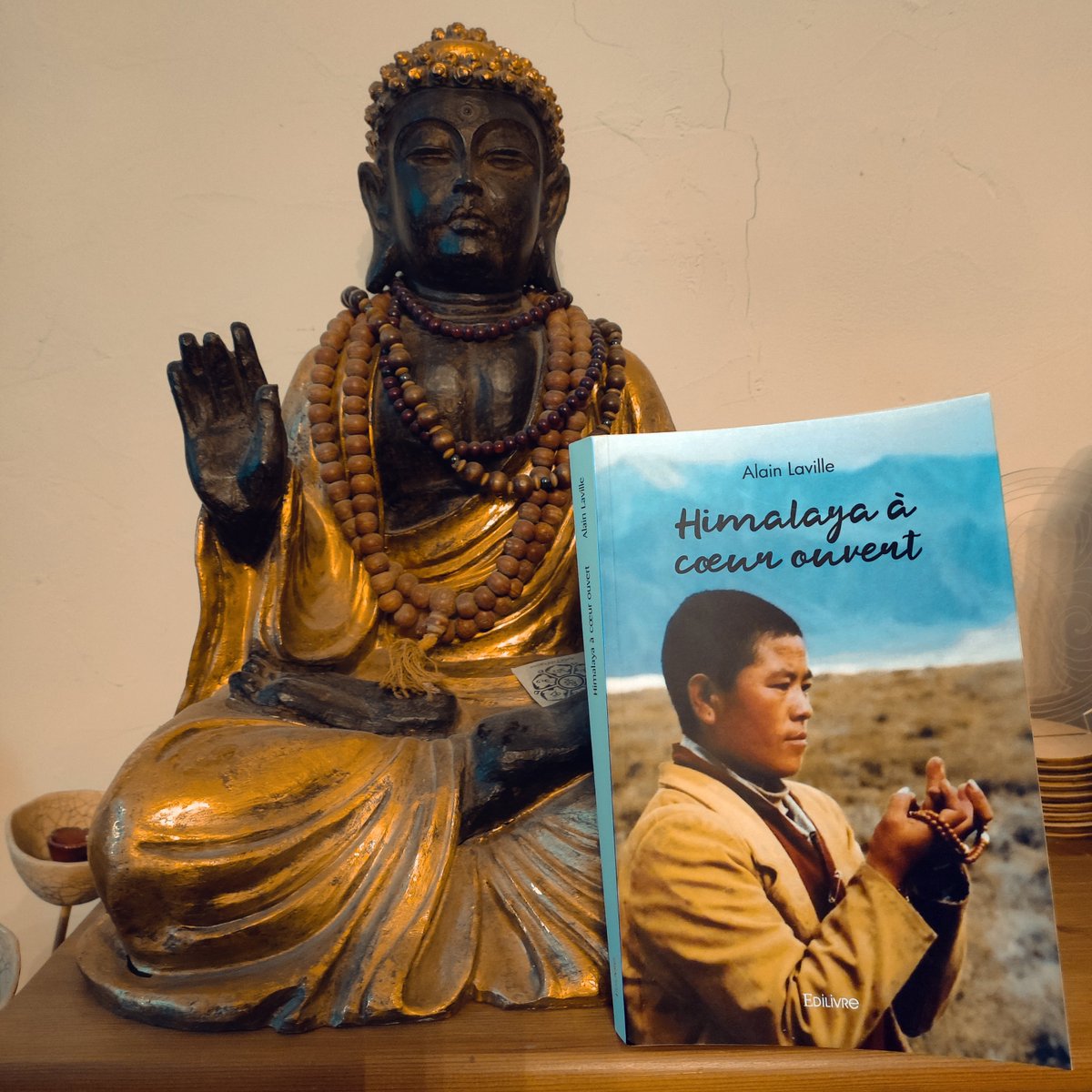 alaindailot's tweet image. Livre « Himalaya à cœur ouvert »/ Auteur Alain Laville
edilivre.com/himalaya-a-coe…
Tous les libraires de #france , #suisse et #belgique peuvent également le commander à travers Dilicom ou directement auprès d’Edilivre.#edilivre