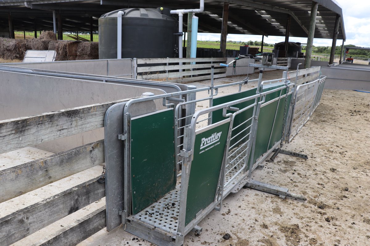 🇦🇺Jour 7️⃣ #SmaRTNZ : visite de la ferme ovine laitière de Maui. 👍Validation de l’intérêt de l'identification électronique et la pesée
<a href="/SRUC/">SRUC</a> <a href="/MoredunComms/">The Moredun Foundation</a> @teagascsheep @Nibio_no @idele_ceb <a href="/DEgyetem/">Debreceni Egyetem</a> <a href="/TechCareproject/">TechCare</a> <a href="/InstitutElevage/">Institut de l'élevage - Idele</a>  <a href="/SelmetUmr/">UMR Selmet</a> @volcanicenter1 <a href="/AdvisoryBlyth/">Blyth Livestock Advisory Services</a>