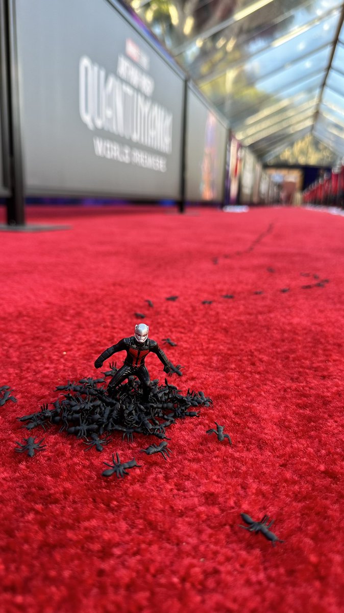 IndianLadLeaks's tweet photo. #AntManAndTheWaspQuantumania 
Just wait for the feb 17 https://t.co/BOA1PP8vcZ