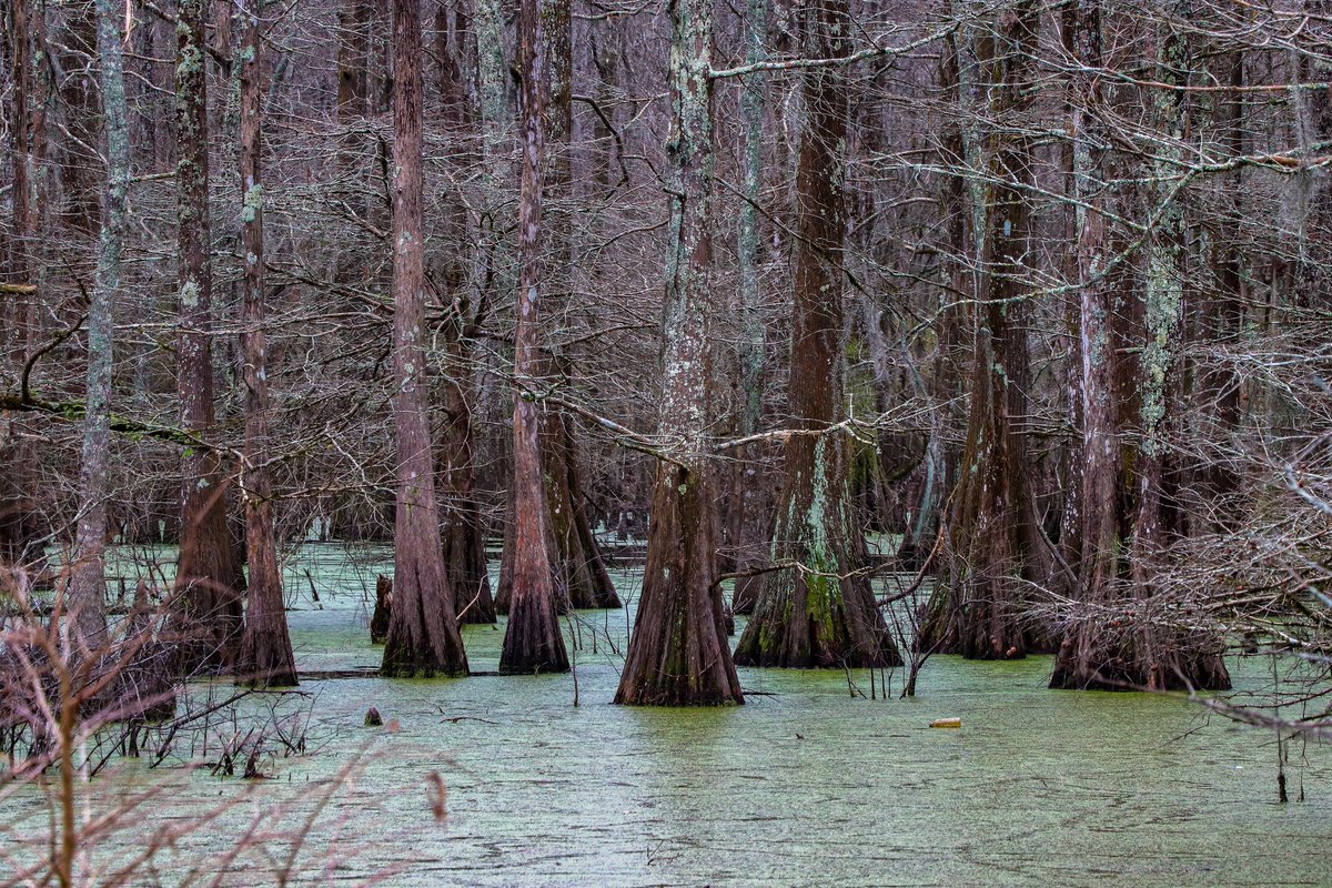 marsh413's tweet image. Around Marion County