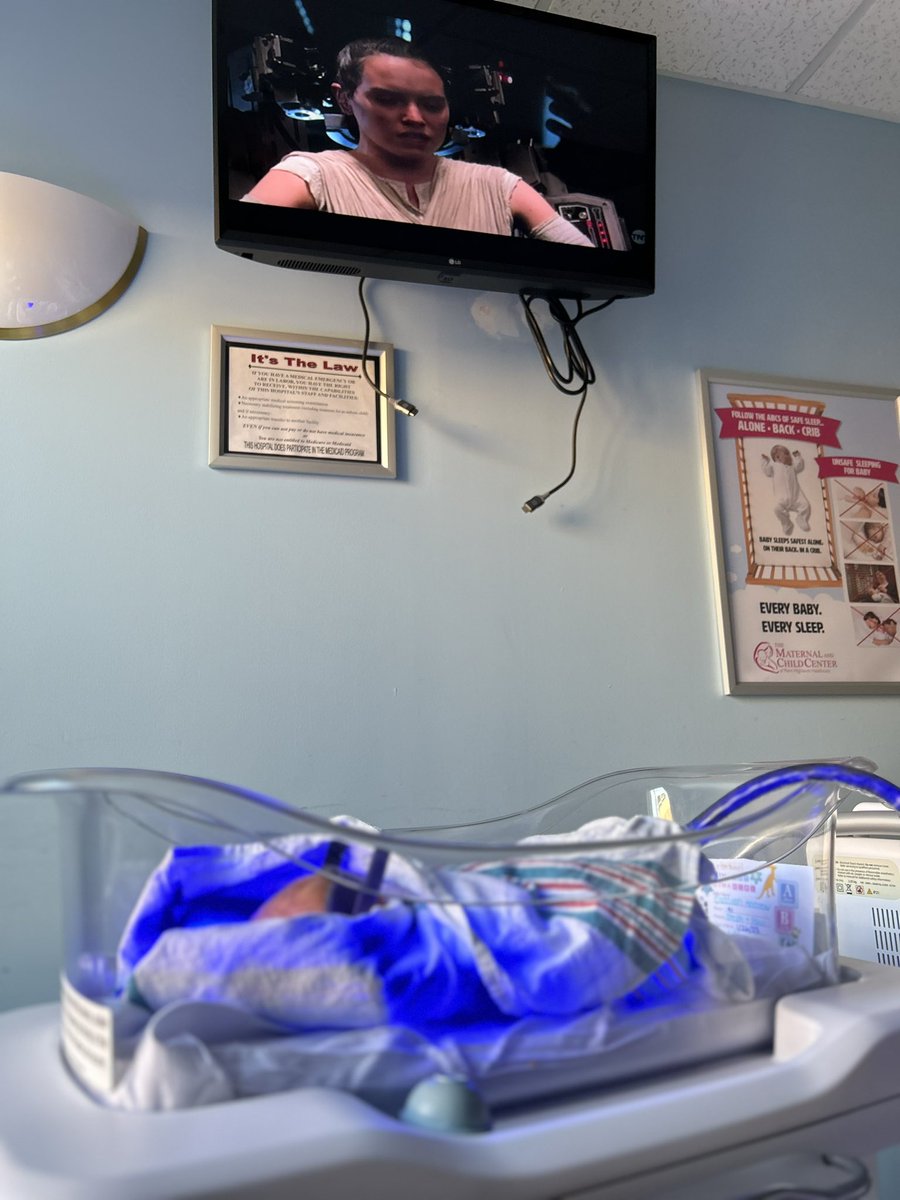 Stephanie tweet media