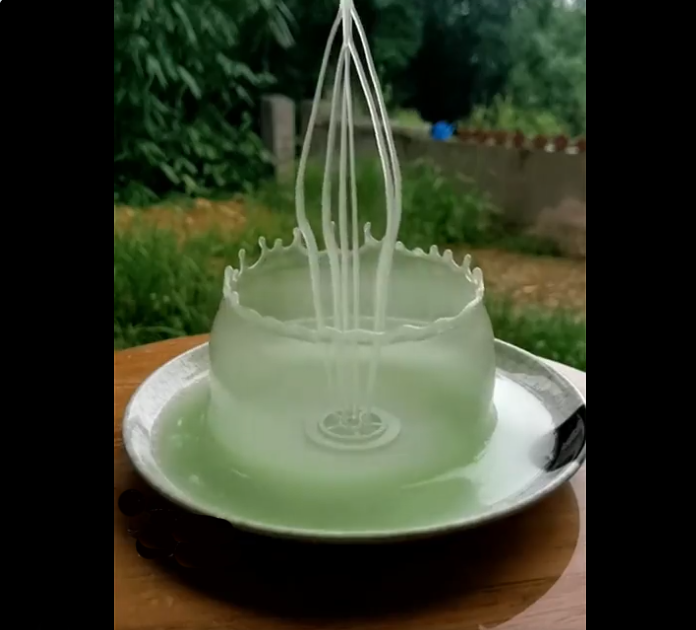 NZASE (@nzscienceteachr) on Twitter photo Wonderfully multidisciplinary ā slow motion science & art: x.com/Rainmaker1973/⦠What mix of cornflour/water works best? Water displacement? What dropped shape spreads liquid furthest? So many pÄtai.. <a href="/NZScienceLearn/">Science Learning Hub</a> <a href="/NZPhysics/">New Zealand Institute of Physics</a> <a href="/UoA_Physics/">Physics at the University of Auckland</a> <a href="/Doctor_Harves/">Dr. Michael Harvey</a> <a href="/Welly_ED/">Welly ED</a> <a href="/froozely/">Helen Boothby</a> Wonderfully multidisciplinary ā slow motion science & art: x.com/Rainmaker1973/⦠What mix of cornflour/water works best? Water displacement? What dropped shape spreads liquid furthest? So many pÄtai.. <a href="/NZScienceLearn/">Science Learning Hub</a> <a href="/NZPhysics/">New Zealand Institute of Physics</a> <a href="/UoA_Physics/">Physics at the University of Auckland</a> <a href="/Doctor_Harves/">Dr. Michael Harvey</a> <a href="/Welly_ED/">Welly ED</a> <a href="/froozely/">Helen Boothby</a>