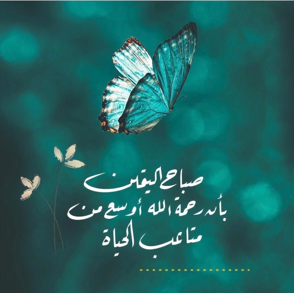 ﷽
قُلْ لَنْ يُصِيبَنآْ إِلَّآْ مآْ ڪًتَبَ آْللَّهُ لَنآْ هُوَ مَوْلَآْنآْ وَ عَلَى آْللَّـهِ فَلْيَتَوَڪًل آْلْمُؤْمِنُوْنَ.

الطمأنينة الوحيدة التي تسكن قلوبنا دائما هو أننا تحت رعاية الله في كل أيامنا
فإن حدثوك عن أمر مخيف فحدثهم عن رب لطيف ورحيم بكل العباد

#اسعد_الله_صباحكم