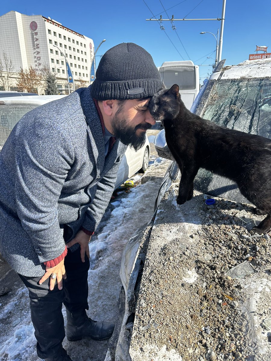 Bir tane sahipsiz kedi.
Enkaz alanından hiç ayrılmıyor.