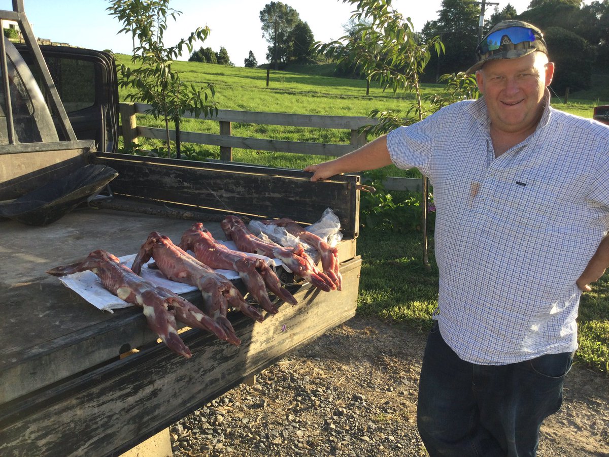Helping my grandsons make a few bucks selling possum meat to flash dog owners in Auckland. Also plucking fur for blending with merino wool. Possums damage native bush we’re trying to restore on the farm.