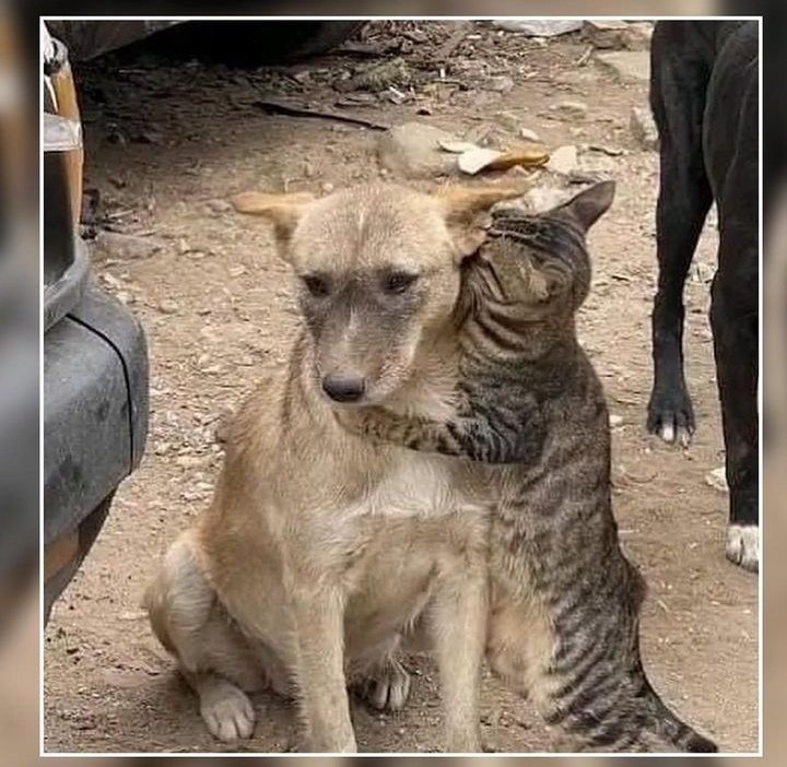 Derya Tunca (@DeryaTunca13) / Posts / X