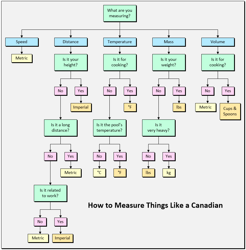 Michelle B ☀️ 🇨🇦 tweet media