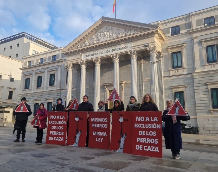 🇪🇸🔴🏛 En estos momentos en Madrid, frente al Congreso de los Diputados, seguimos exigiendo #MismosPerrosMismaLey, durante el debate y la votación de la primera Ley de Protección Animal en España.

<a href="/sanchezcastejon/">Pedro Sánchez</a>, <a href="/gpscongreso/">PSOE Congreso</a> , <a href="/PSOE/">PSOE</a> están a tiempo de retirar la enmienda.
