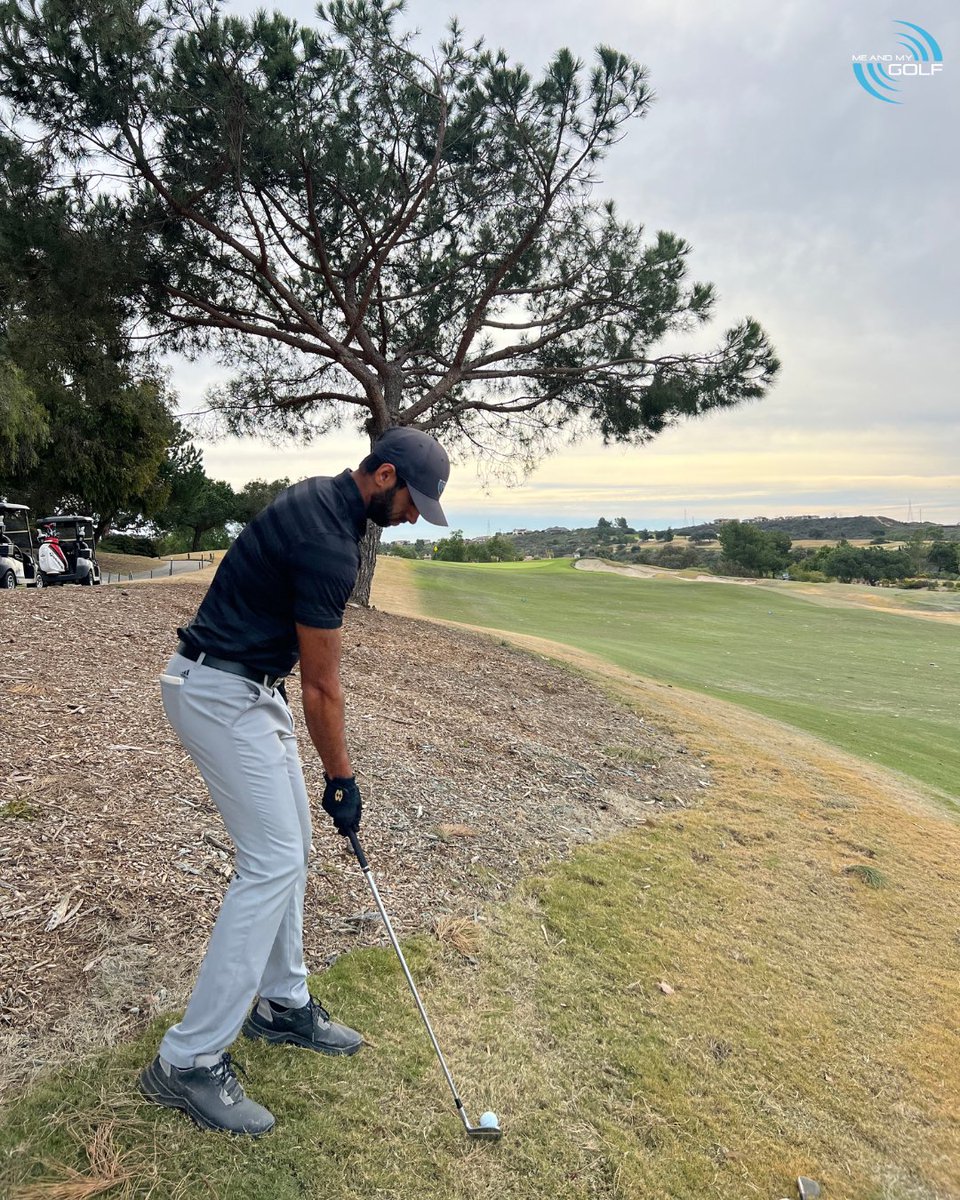 Me and My Golf tweet media