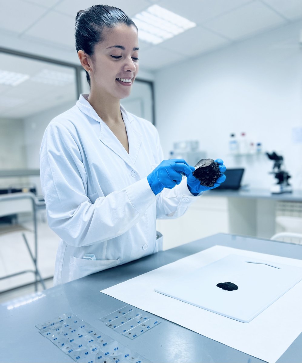 IDForest's tweet photo. 🧬🧪🔬  Hoy es el #DíaInternacionaldelaMujerylaNiñaenlaCiencia 

👩🏻‍🔬👩🏽‍🔬👩🏼‍🔬 En IDForest contamos con un equipo de mujeres que tienen mucho que aportar a la investigación y queremos mostrar a las niñas que la ciencia SÍ es cosa de mujeres. https://t.co/AAAVbEYfm0