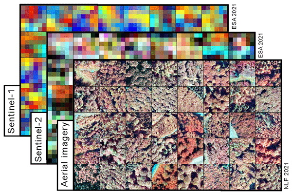 Michael Förster tweet media